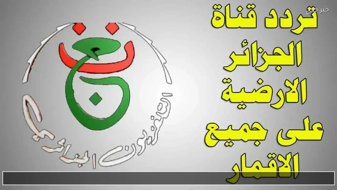 بشفرة القناة الأرضية.. مباراة الأهلي وشبيبة القبائل تبث عبر تردد Programme National